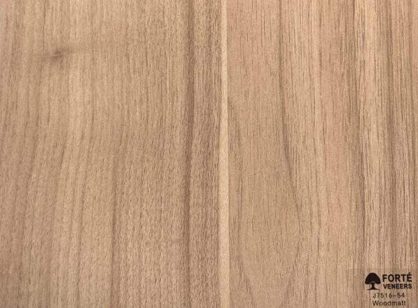 Australian Natural Oak Woodmatt（J7516-54 ）